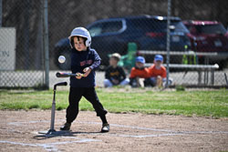20260509-LLBB-01748.jpg