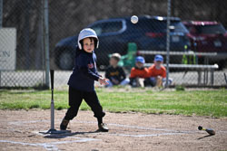 20260509-LLBB-01755.jpg
