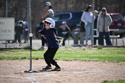 20260509-LLBB-04097.jpg