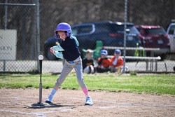 20260509-LLBB-02207.jpg