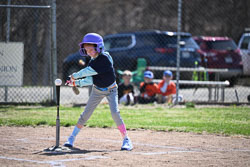 20260509-LLBB-02209.jpg