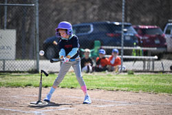 20260509-LLBB-02213.jpg