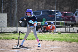 20260509-LLBB-02215.jpg
