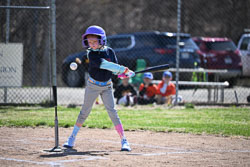 20260509-LLBB-02218.jpg