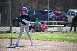 20260509-LLBB-02227.jpg