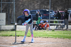 20260509-LLBB-02243.jpg