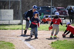 20260509-LLBB-01938.jpg