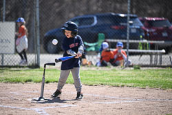20260509-LLBB-02055.jpg