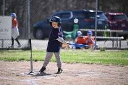 20260509-LLBB-02061.jpg