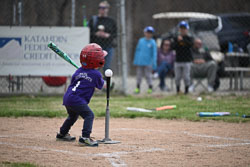 20260509-LLBB-10305.jpg