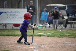 20260509-LLBB-10309.jpg