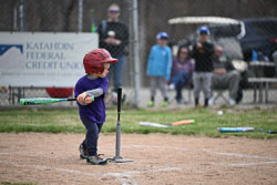 20260509-LLBB-10322.jpg
