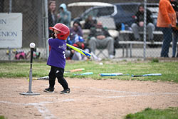 20260509-LLBB-10544.jpg