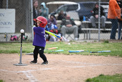 20260509-LLBB-10546.jpg