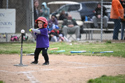 20260509-LLBB-10550.jpg