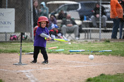 20260509-LLBB-10569.jpg