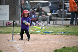 20260509-LLBB-10576.jpg