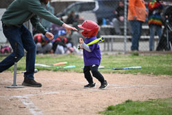 20260509-LLBB-10581.jpg