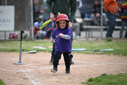 20260509-LLBB-10616.jpg