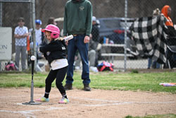 20260509-LLBB-07258.jpg