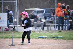 20260509-LLBB-10192.jpg