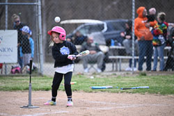 20260509-LLBB-10195.jpg