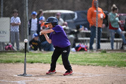 20260509-LLBB-06969.jpg