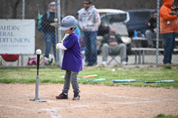 20260509-LLBB-10418.jpg