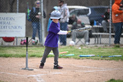 20260509-LLBB-10433.jpg