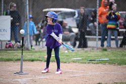 20260509-LLBB-10079.jpg