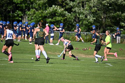 20260910-Stearns-JHFH-1135.jpg