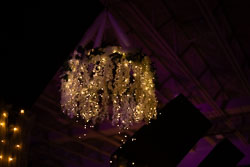 20260509-Stearns-Prom-314.jpg