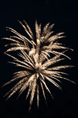 20140801-fireworks-051.jpg