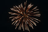 20140801-fireworks-056.jpg