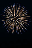 20140801-fireworks-066.jpg