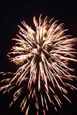 20140801-fireworks-096.jpg