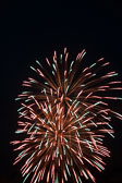 20140801-fireworks-098.jpg