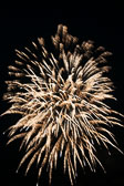 20140801-fireworks-129.jpg