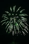 20140801-fireworks-142.jpg