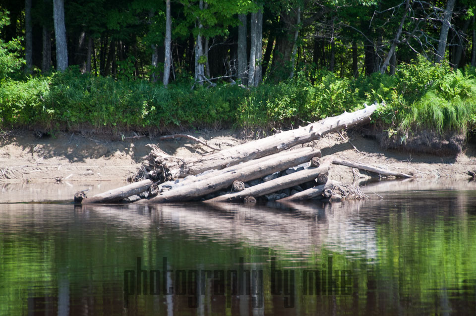 20130725-penobscot_river-070.jpg