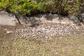 20130725-penobscot_river-021.jpg