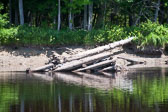 20130725-penobscot_river-070.jpg