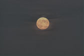 20130919-harvest_moon-026_7.jpg