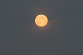 20130919-harvest_moon-030.jpg