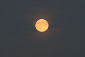 20130919-harvest_moon-032.jpg