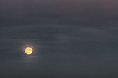 20130919-harvest_moon-041_2_3.jpg