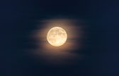 20130919-harvest_moon-067_8_9.jpg