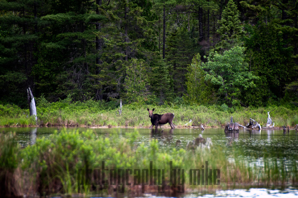 20140621-woodys_camp-013-Edit.jpg