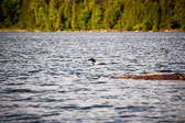 20140621-woodys_camp-085-Edit.jpg