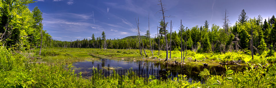 20150716-Katahdin_Woods_Waters-204_5_6_7_8-Edit.jpg